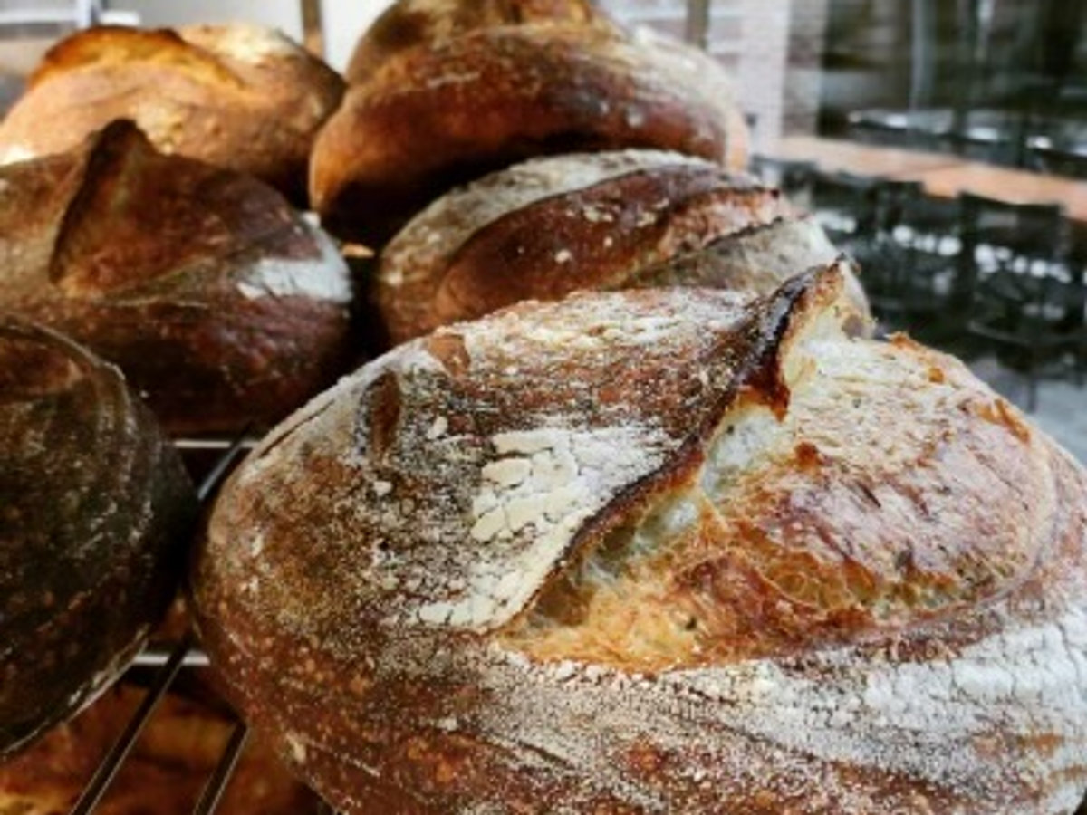 Freshly baked, flour-dusted sourdough loaves from North Wind Bread Company